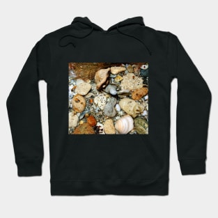 Charm Rocks Hoodie